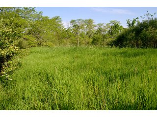 Property photo 30 - LAND AUCTION - 215+/- ACRES OFFERED IN 6 TRACTS IN VAN WERT COUNTY, OHIO